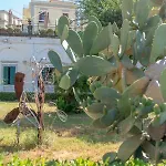 Casetta Belvedere Διαμέρισμα Νάπολη